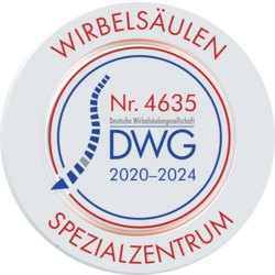 Logo: Deutsche Wirbelsäulengesellschaft e.V.